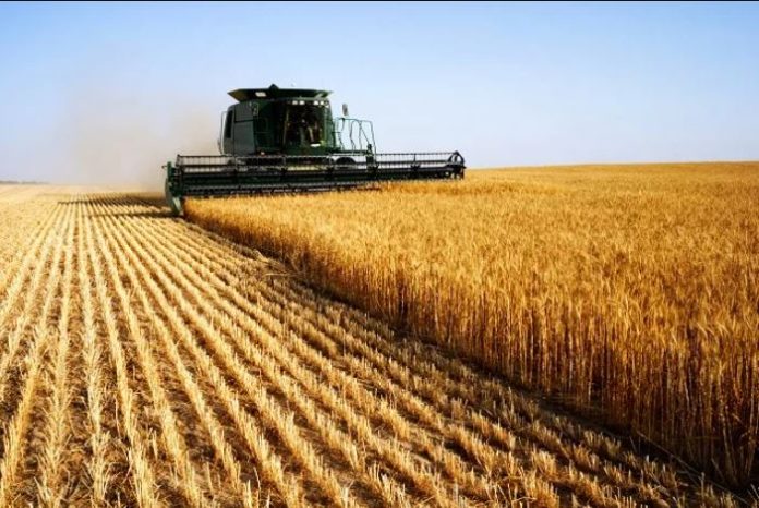 AFEX, Niger govt partner to improve agriculture productivity