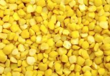 Tanzania targets to expand exportation of crops to India Tanzania targets to expand exportation of crops to India