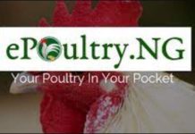 epoultry appoints Prof Liang to boost Africa operations Nigeria’s digital poultry platform appoints Prof Liang to boost Africa operations