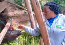 UNCTAD keeps Kenya’s small-scale female’s business afloat