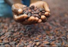 How we can rescue foods on the ‘Endangered Food List’