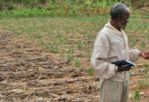 Southern Africa scaling up on conservation agriculture: FAO