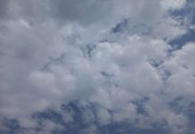 SA needs R91m to help KZN farmers affected by floods