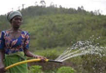 FAO constructs 6 water ponds Rwanda farmers in Rulindo