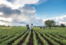 Egypt, Zambia probe bilateral cooperation in agricultural field Egypt, Zambia probe bilateral cooperation in agricultural field