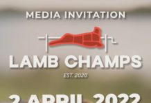 Saai to hold the biggest lamb braai that Pretoria has experienced in a long time