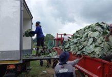 OneFarm Share: Celebrating One Year of Collaboration and Impact