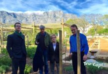 Is South Africa’s second oldest pear tree in your garden?