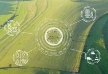 Rwanda Leverages Machine Learning and Satellite Imagery to Boost Precision Agriculture