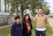 The Variety of Olive Determines the Concentration of Antioxidants in its Pomace