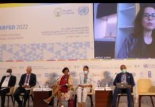 Steering progress towards attaining a sustainable blue economy in Africa