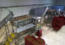 Tuğrul Tarim, one of Turkey’s leading raisin exporters, invests in the innovative new TOMRA 5C sorting machine