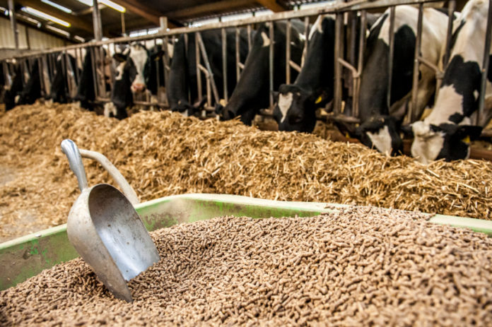 NDMA, KDF collaborates to distribute livestock feeds in Kenya