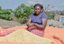 African Faith Communities appeal to U.S Congress: “Stop funding industrial Agriculture ,AGRA is hurting Africa”