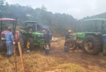 Zimbabwean sawmiller shows way to sawmilling success.