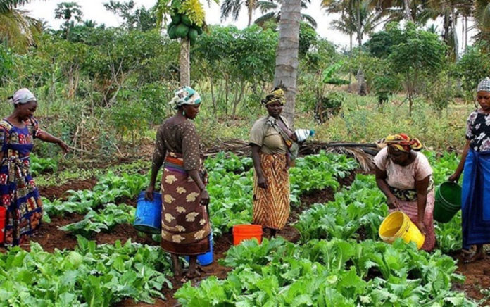 Morocco, Ivory Coast ink deal to boost agricultural competitiveness