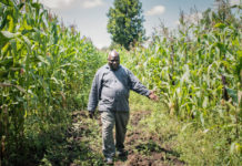 Harvesting of greens begins in Lesotho with food security improving Kenya’s Apollo Agriculture raises Series B funding round for international growth