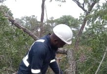 Farm expansion accelerates in Africa