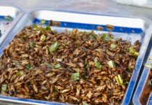 Rwanda unveils guidebook for insect industry Rwanda unveils guidebook for insect industry