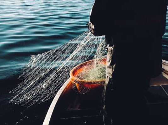Increasing the Sustainability of Fishing