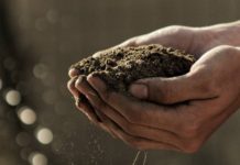 Growing Crops in Severe Drought