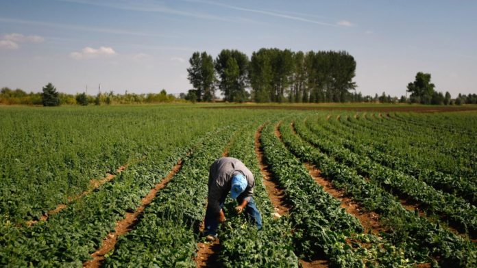 Agribank, Nab join forces to promote agriculture in Namibia