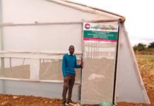 ZimTrade to open new horticulture clusters