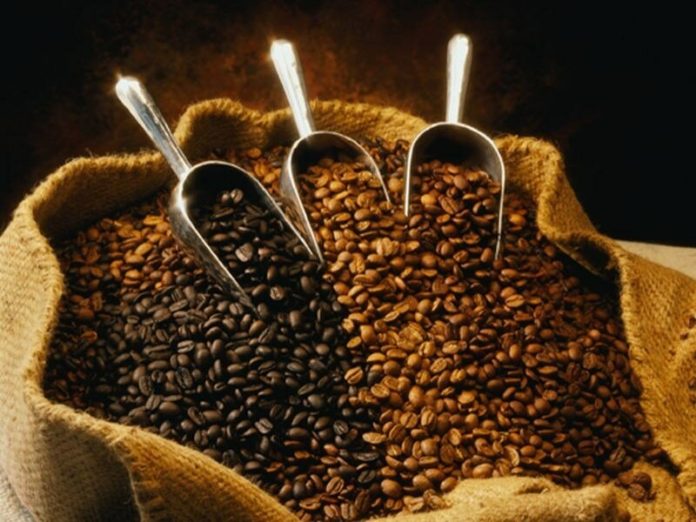 Coffee farmers in Kenya seek link to embassies better earnings
