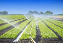 Registration opens for 2022 Irrigation Show Zimbabwe to expand irrigated area