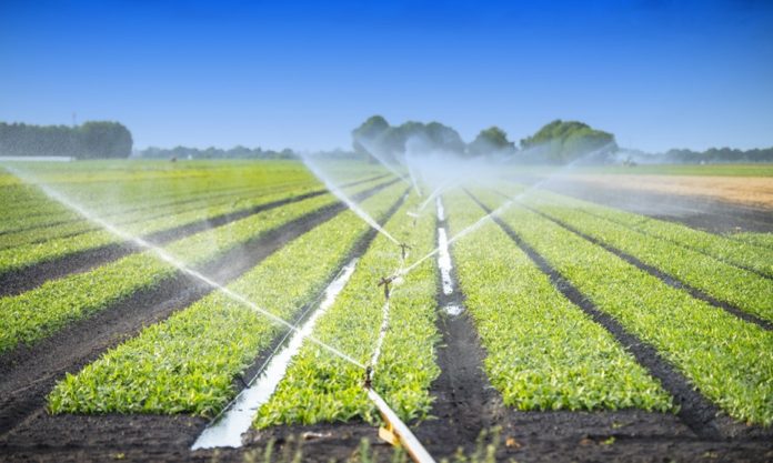 Zimbabwe to expand irrigated area