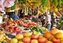 Kenya to draft new Food Safety Bill Kenya to draft new Food Safety Bill