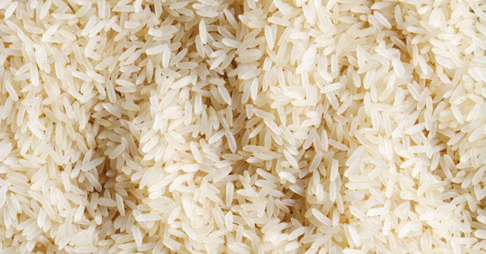 Ghana introduces new rice variety at Nyariga District