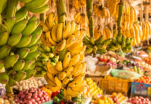 Nigeria bans foreigners from buying agric produce directly from farmers Nigeria bans foreigners from buying agric produce directly from farmers