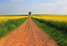 Congo, Rwanda sign agricultural land concession agreement Congo, Rwanda sign agricultural land concession agreement