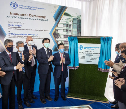 Amid worsening hunger crisis, African countries meet at UN FAO forum on food and agriculture