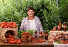 Seed of an idea yields crops and jobs through perseverance and grace