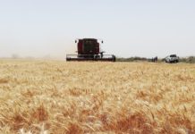 First buyer in Sudan signs praises of AXIAL-FLOW 4088 combine at demonstration day