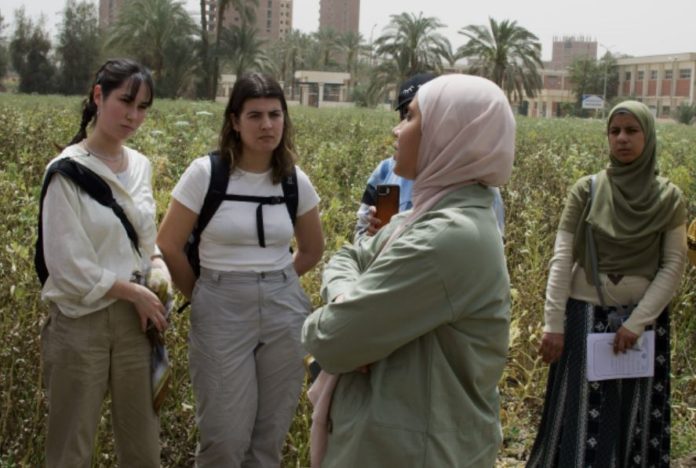 Egyptian, Danish geoscience students explore jointly sustainable agriculture