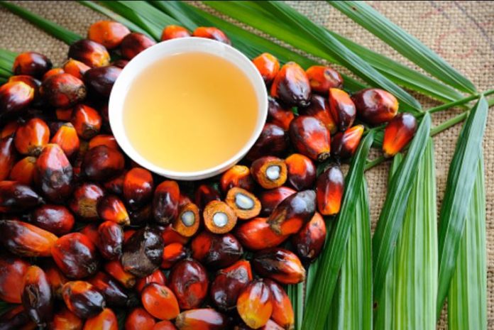 Liberia launches 5-Year strategy and action plan for oil palm