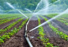 Ghana to receive grants for 35 irrigation schemes Ghana to receive grants for 35 irrigation schemes