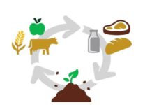 Kenya, Netherlands working together toward circular agriculture Kenya, Netherlands working together toward circular agriculture