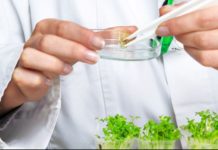 Agriculture experts in Nigeria call for funding of research institutes, enabling environment Agriculture experts in Nigeria call for funding of research institutes, enabling environment