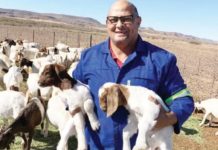 Former Namibian rugby player turns to farming
