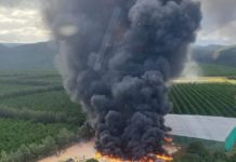 SA’s Eastern Cape farm workers run riot, demand R30 per hour