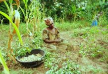 How rural Africa is achieving equitable and effective food system transformation