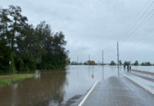 “Unpredictable weather is pushing farmers to plan ahead, says Omnia’s Louis Strydom”