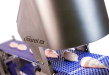 The ultimate way to detect all visual fillet defects