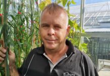 UFS wheat rust specialist contributes to paper in Nature Genetics