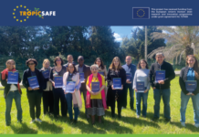 TROPICSAFE achieves significant results to better manage lethal yellowing in palms, yellows in grapevine, and “huanglongbing” in citrus