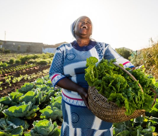 South Africa’s loss of young farmers is reversible